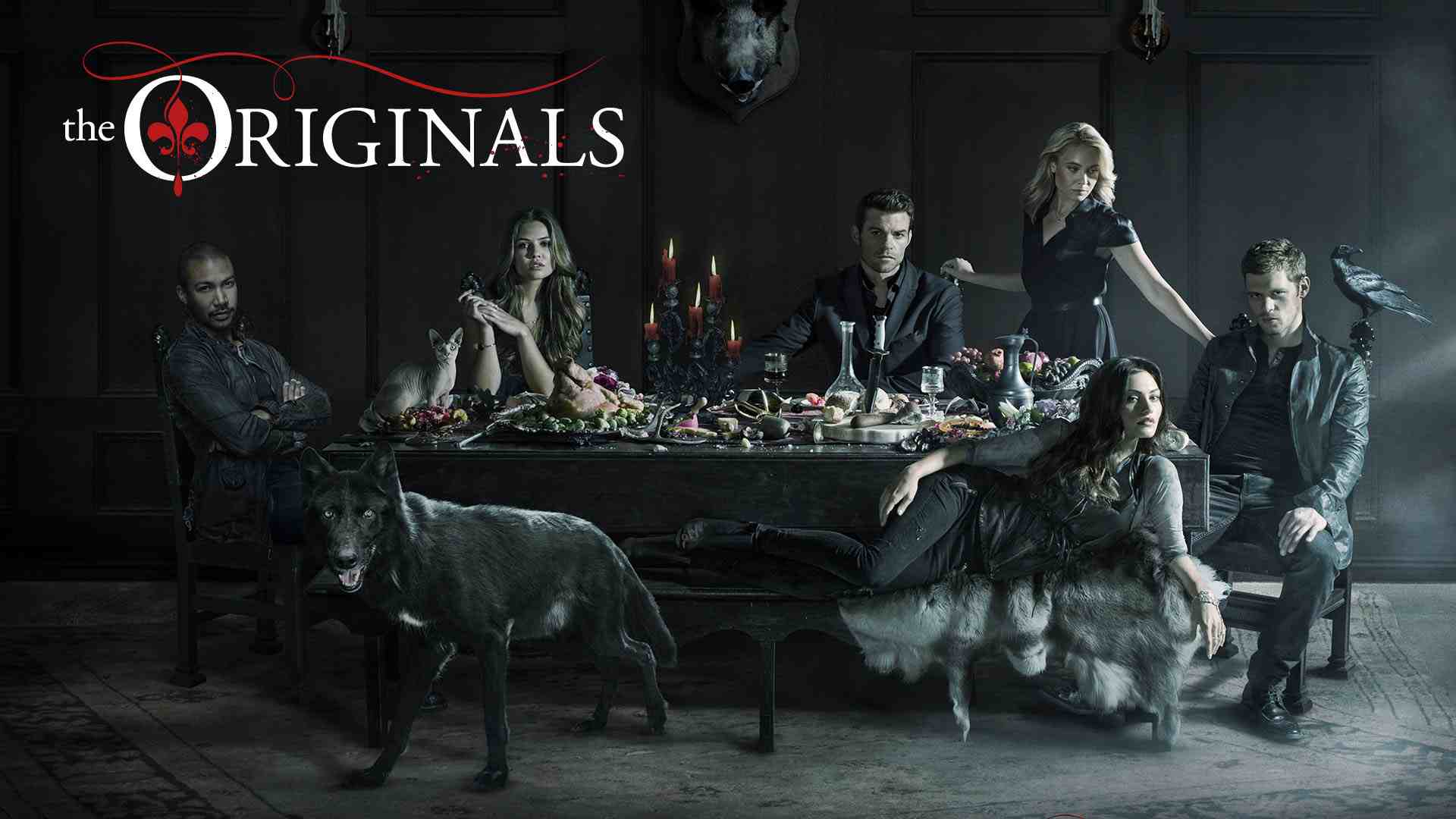 all-series