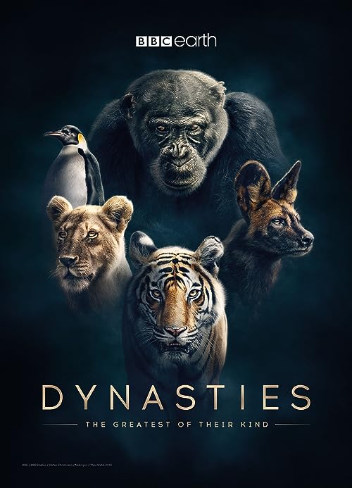 Dynasties 2018