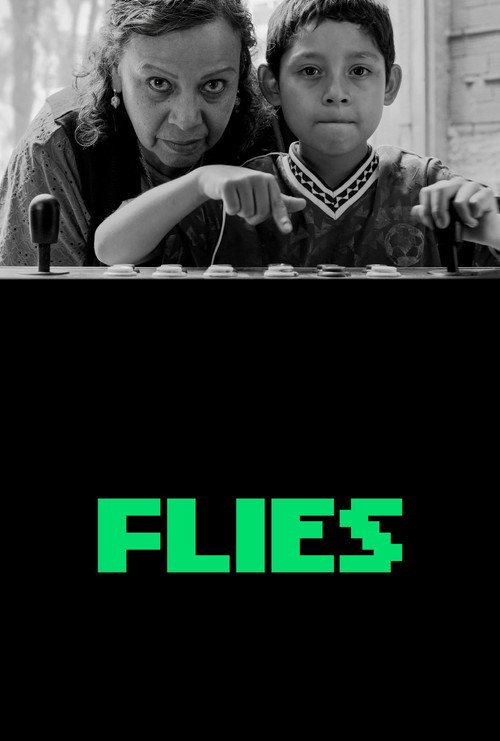Flies 2026