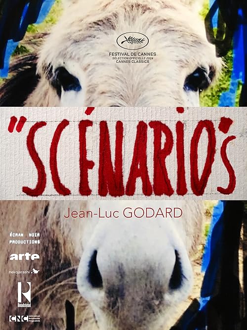 Scénarios 2024