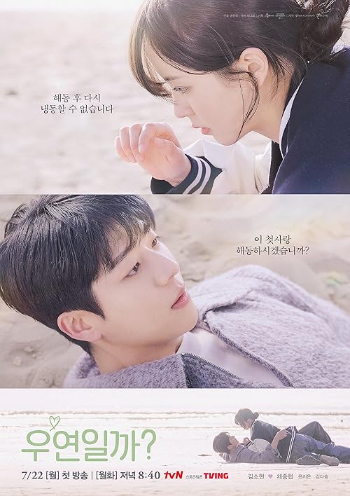 Serendipity's Embrace 2024