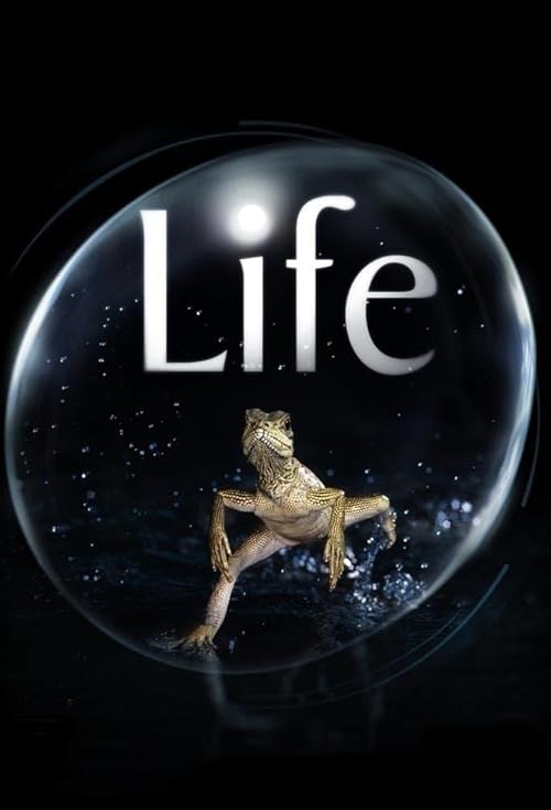 Life 2009