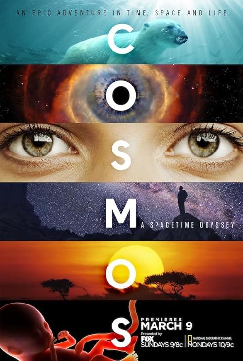 Cosmos: A Spacetime Odyssey  2014